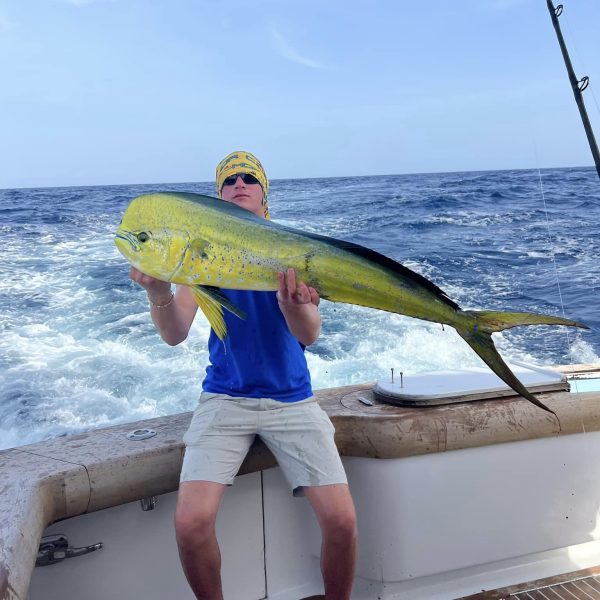 Mahi Mahi fishing charter in Stuart, FL