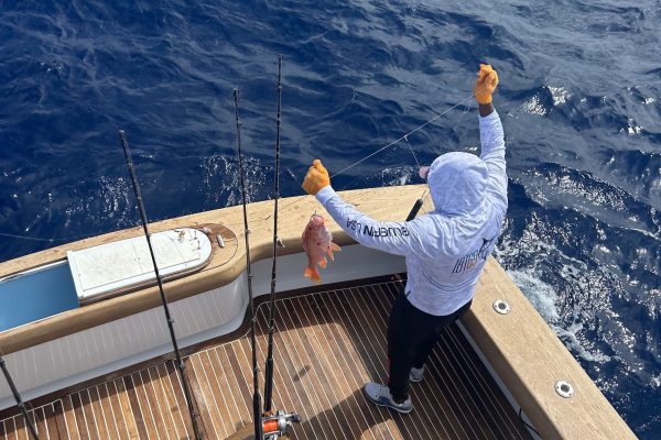 World-Class Caribbean Marlin Fishing Charters - Stuart Big Game Fishing