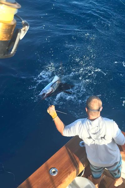 Catching a Sailfish in Stuart, FL